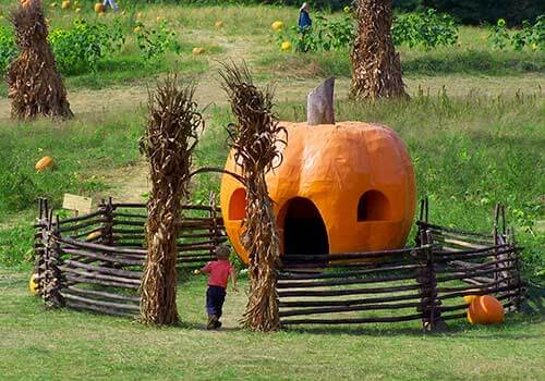 Explore our giant pumpkin house!
